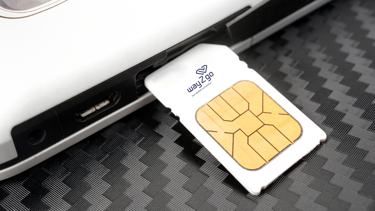 What are SIM Cards for Visitors in Japan?