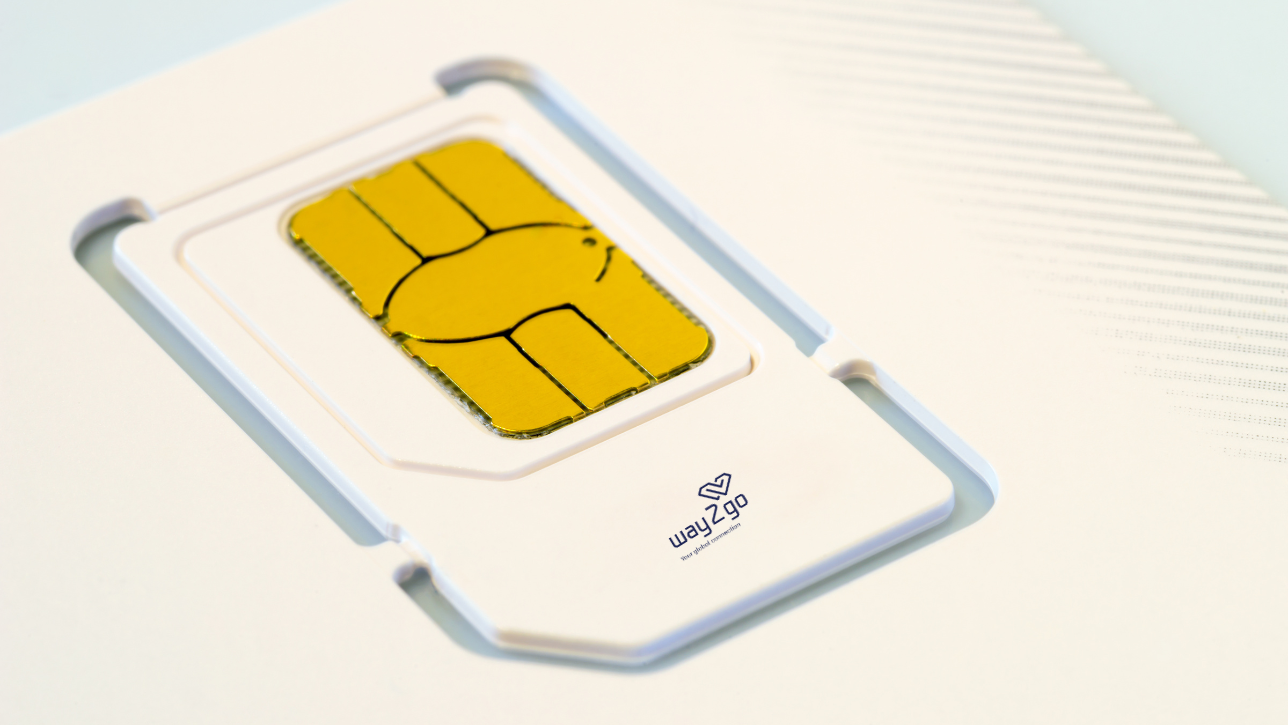 What is a Physical SIM Card?