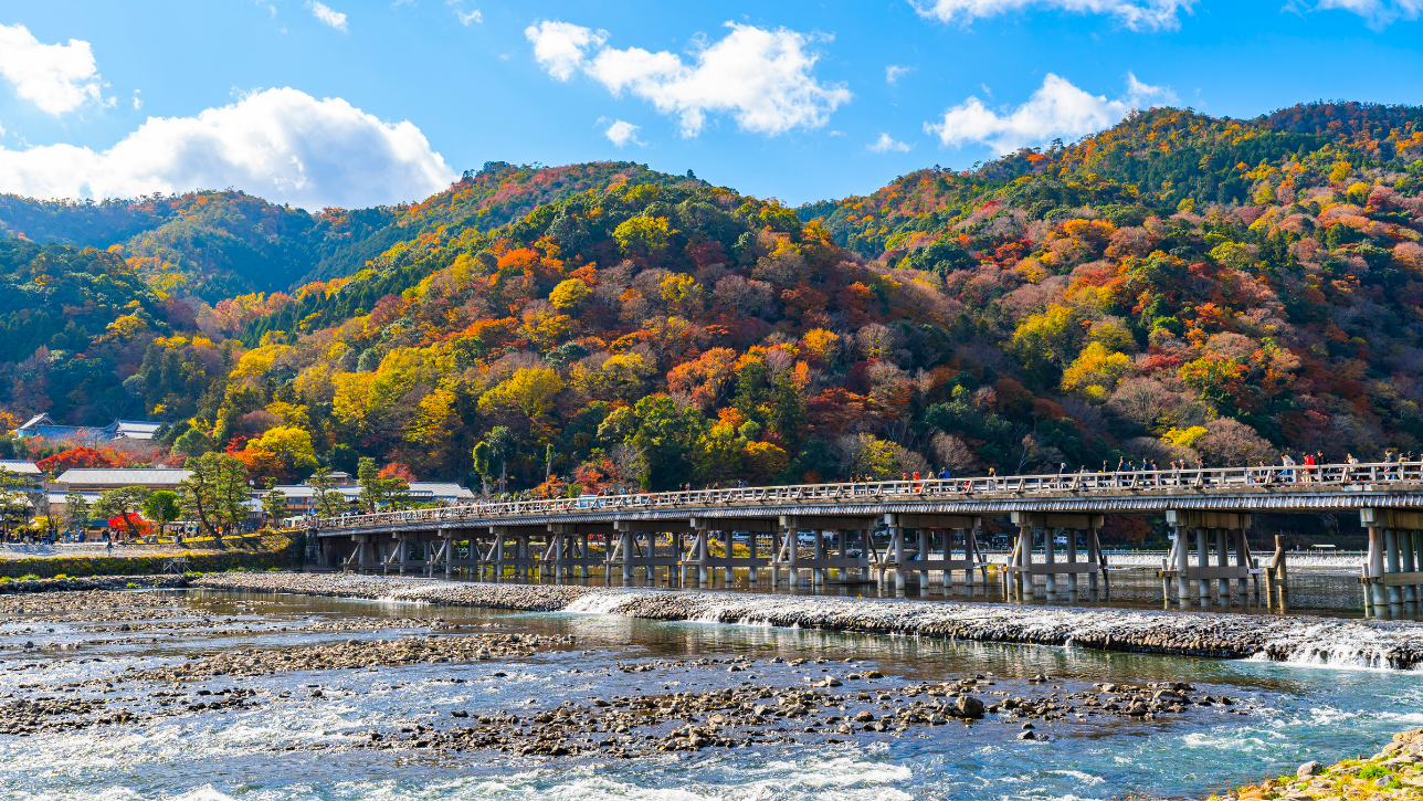 Kyoto, Japan – Cherry Blossoms and Temples in Harmony