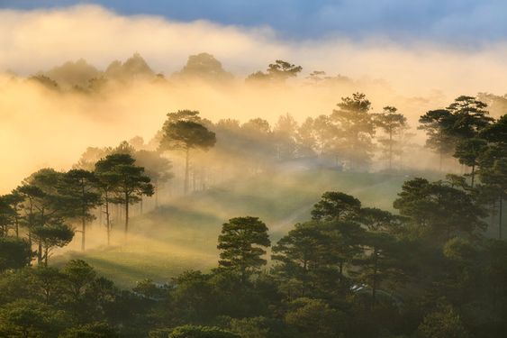 Exploring the Mountainous Ecosystem of Da Lat: Must-Try Trekking Journeys