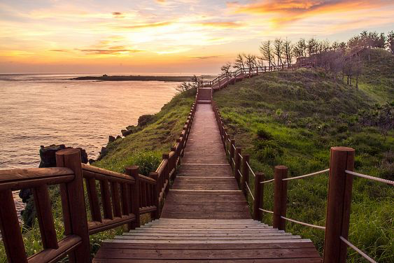 Best Hiking Trails In Jeju Island - Paradise in South Korea