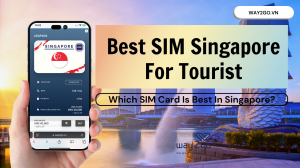 Best SIM Singapore For Tourist - Which SIM Card Is Best In Singapore?