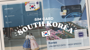 Top 5 South Korea SIM Card Options for Tourists (2025)