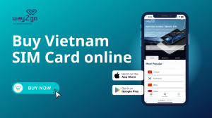 Buy Vietnam SIM Card online for Travelers visiting Vietnam