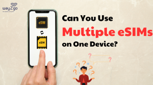 Can You Use Multiple eSIMs on One Device?