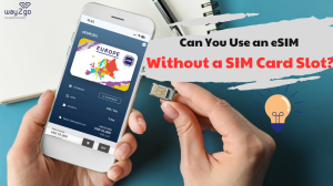 Can You Use an eSIM Without a SIM Card Slot?